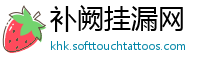 补阙挂漏网